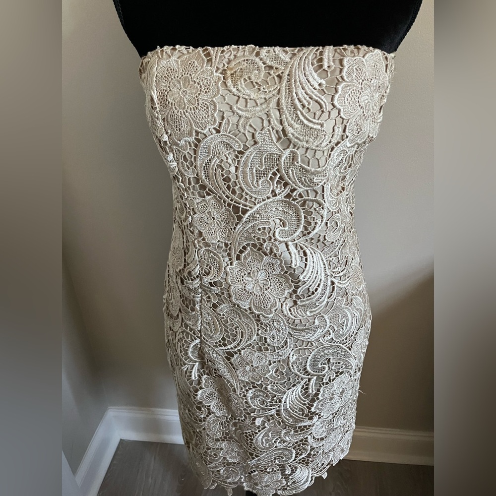 Adrianna Papell Cream Floral Dress. 12
